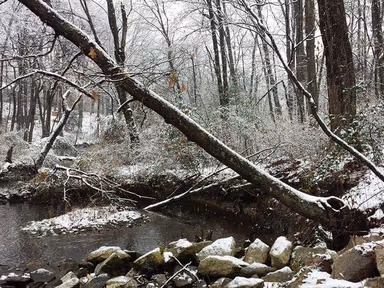 Glen Burnie photo 4
