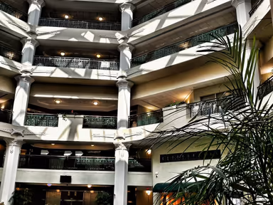 Jacksonville City Hall photo 3