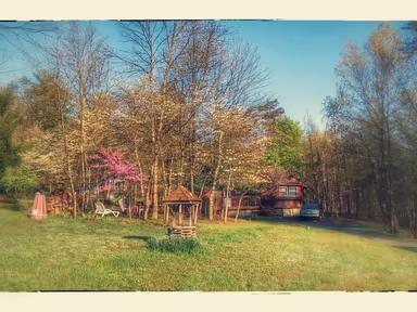 Little Orleans photo 1