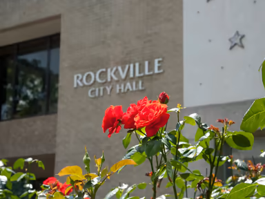 Rockville City Hall photo 1