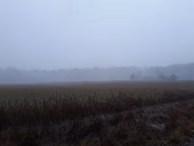 Nanjemoy photo 1
