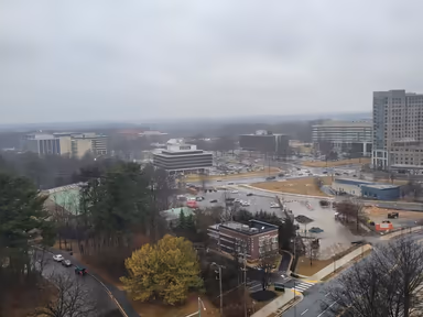 North Bethesda photo 3