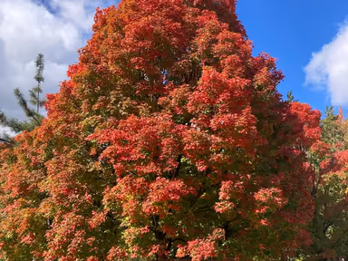 North Bethesda photo 4