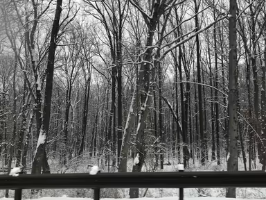 Randallstown photo 1