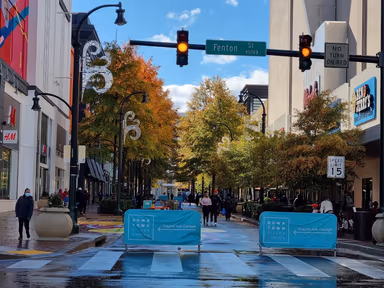 Silver Spring photo 1