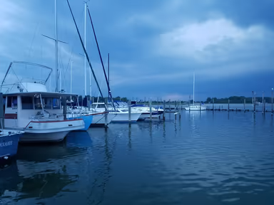 Tall Timbers Marina photo 2