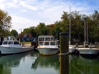 Tilghman Island photo 1