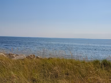 Tilghman Island photo 2