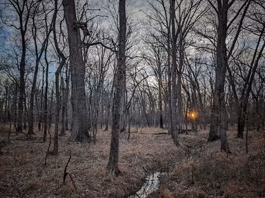 Washington Grove photo 1