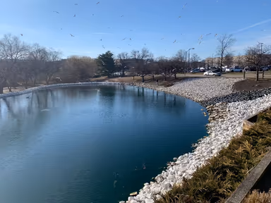 White Marsh photo 2
