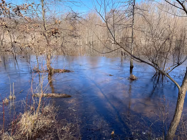 White Marsh photo 3
