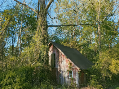 Wye Mills photo 1