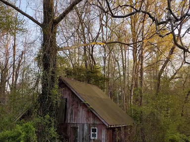 Wye Mills photo 2