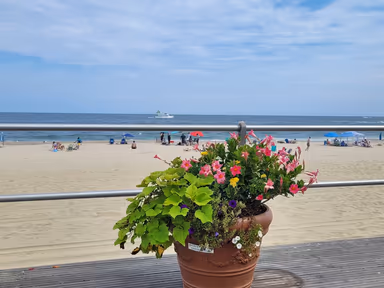 Avon-by-the-Sea photo 4