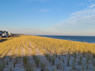 Bay Head photo 2