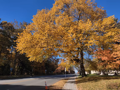 Glen Ridge photo 1