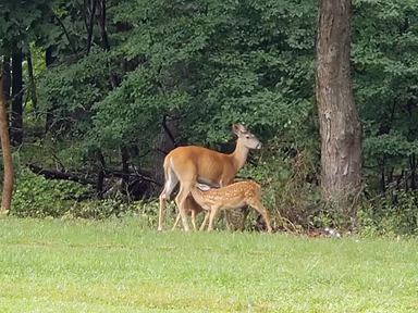 Hillsborough Township photo 2