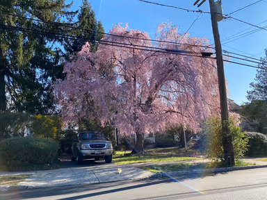 Montclair photo 1