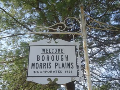 Morris Plains photo 2