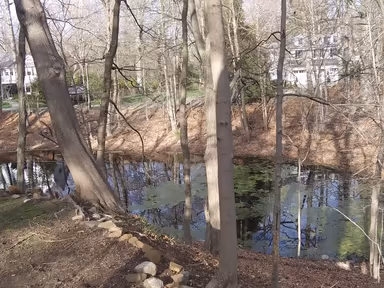 Netcong photo 4