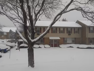 Park Ridge photo 1