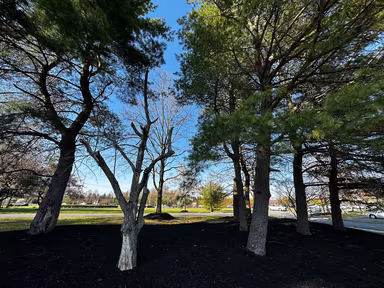 Plainsboro Municipal Offices photo 2