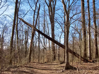 Borough of Rockleigh photo 2
