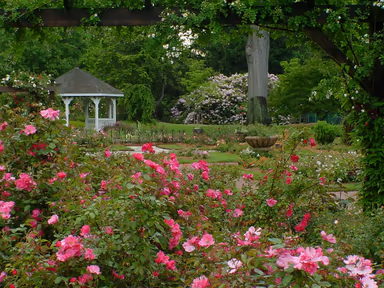 Somerset County New Jersey photo 3