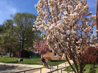 Borough of Tenafly photo 1