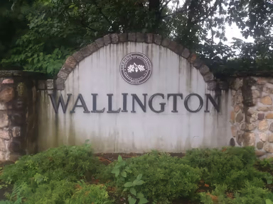 Wallington photo 3