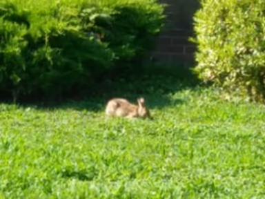 Westville photo 1