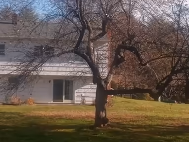 Woodcliff Lake photo 4