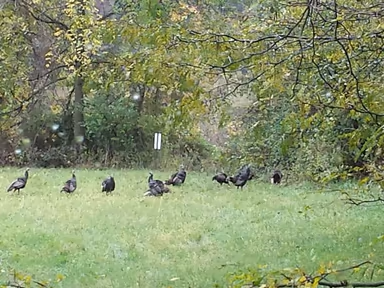 Adamsburg photo 2