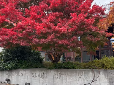 Bainbridge Island City Hall photo 4