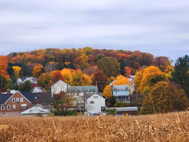 Bendersville photo 1