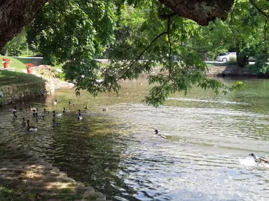 Boiling Springs photo 4