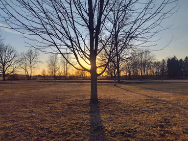 Bowers Park photo 3