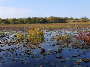 Cambridge Springs photo 1