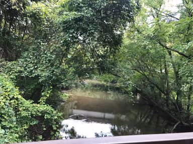 Chesterbrook photo 3