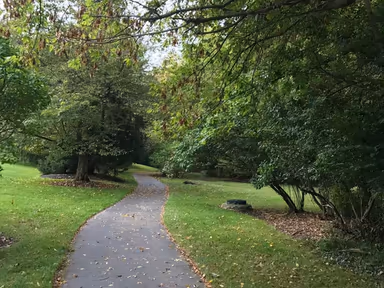 Chesterbrook photo 4