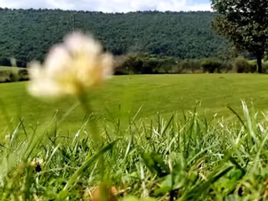 Crystal Spring photo 2