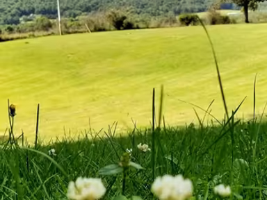 Crystal Spring photo 3