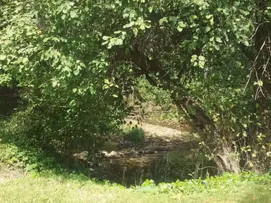 Dixonville photo 1