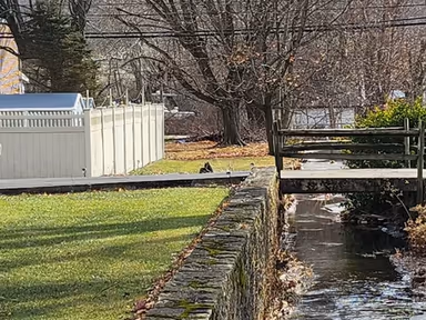 Fairfield photo 2