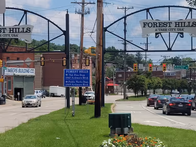 Forest Hills photo 1