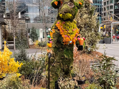 City Hall Garden photo 2