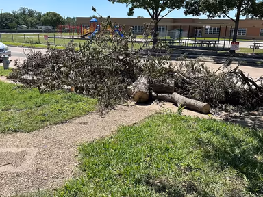 Garland City Hall photo 1