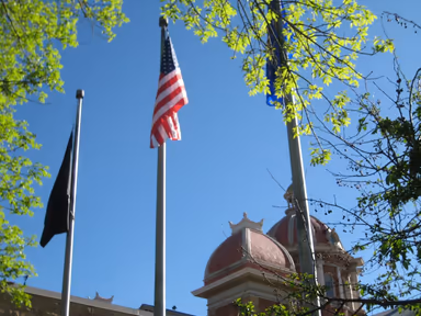Hastings City Hall photo 3