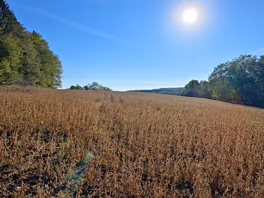 Lake Arthur Estates photo 2