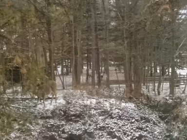 Long Pond photo 1